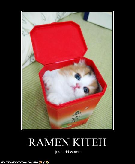 Bilder-Thread uh43048,1274452713,funny-pictures-cat-is-ramen