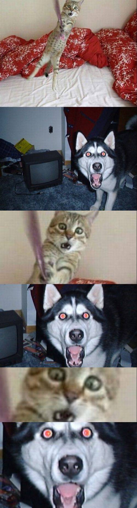 Bilder-Thread uh43048,1274717333,FunnyCommixedPictures 1