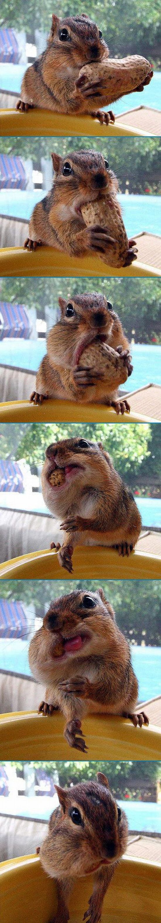Bilder-Thread uh43048,1274717940,FunnyPicturesPart24 17