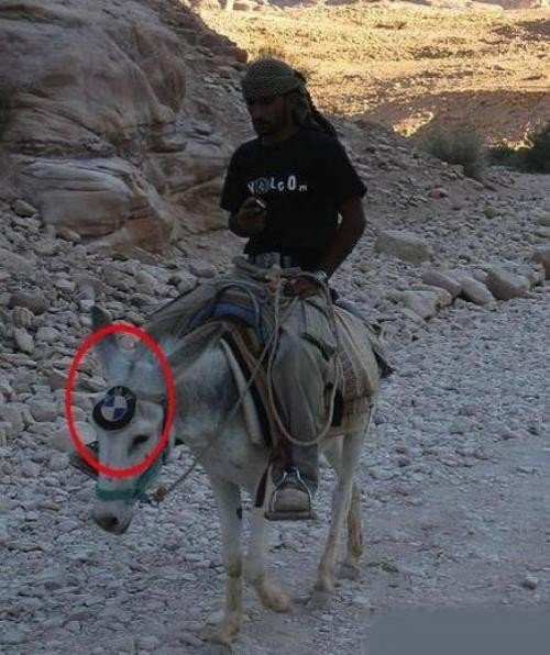Bilder-Thread uh43048,1274718545,Funny Pictures KillMyDayNow.Com 14