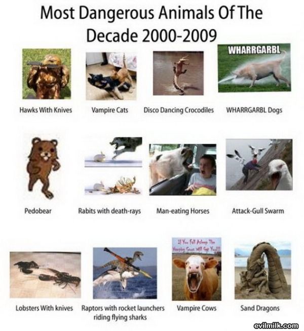 Bilder-Thread uh43048,1274872919,most-dangerous-animals