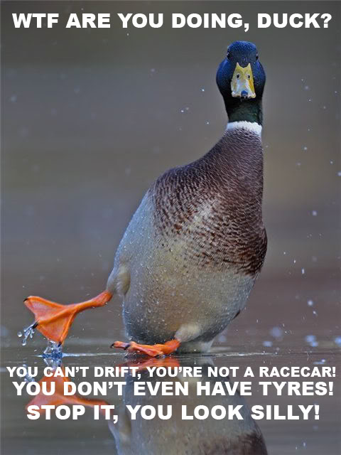 Bilder-Thread uh43048,1274873445,duck-drift