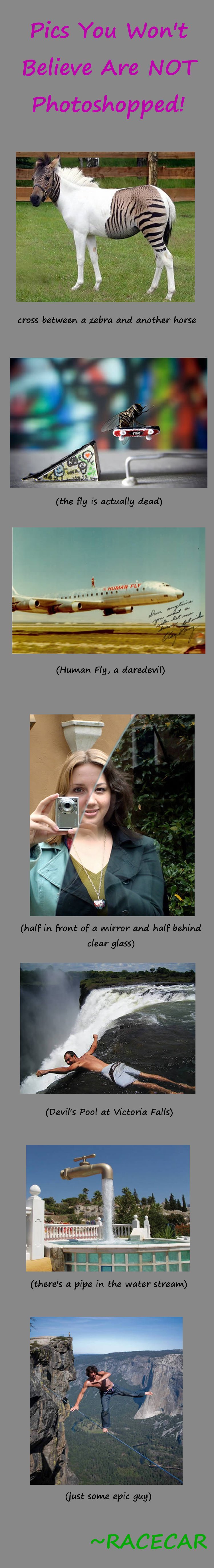 Bilder-Thread uh43048,1274873754,somehow-not-photoshopped.jpeg