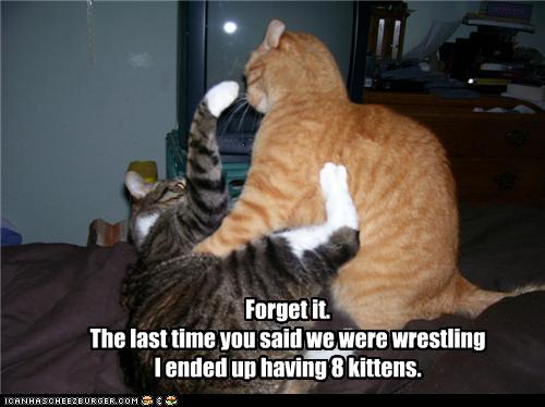 Bilder-Thread uh43048,1275217842,funny-pictures-cat-hates-wrestling
