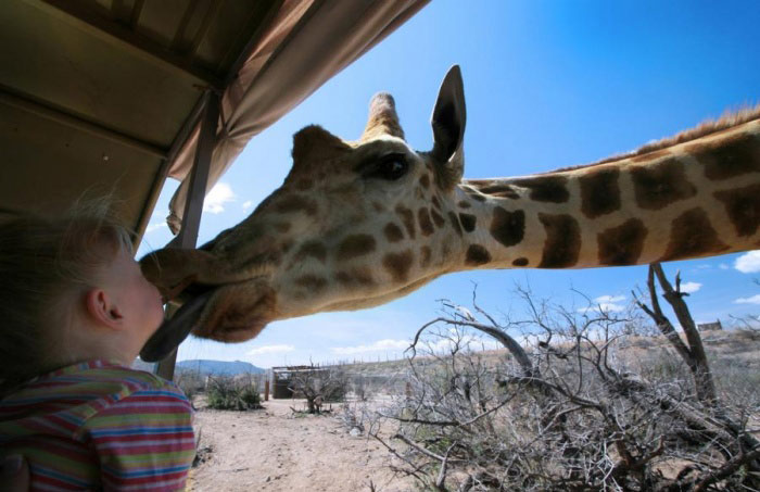Bilder-Thread uh43048,1275251681,give-me-a-kiss