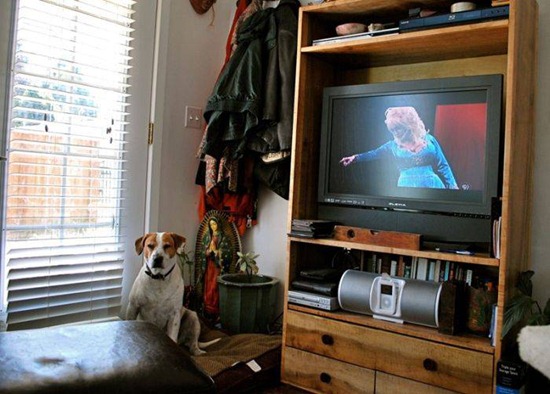 Bilder-Thread uh43048,1275392319,FunnyPicturesPart28 8