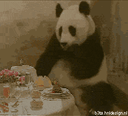 Bilder-Thread uh43048,1275511169,panda