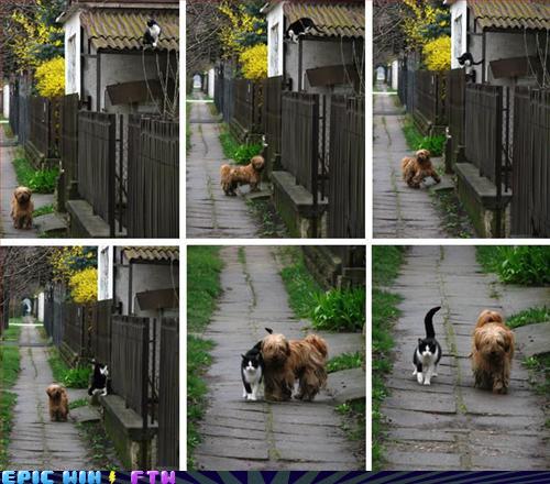 Bilder-Thread uh43048,1275551214,129106728885815109