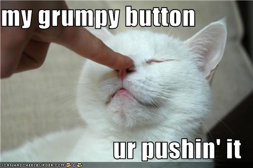 Bilder-Thread uh43048,1276091508,funny-pictures-cat-is-pushed-on-nose