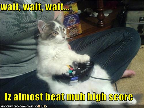 Bilder-Thread uh43048,1276091521,funny-pictures-cat-plays-video-game