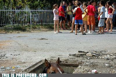 Bilder-Thread uh43048,1276533357,129186061401902718