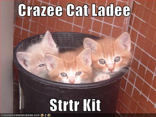 Bilder-Thread uh43048,1276596439,funny-pictures-crazy-cat-lady-starter-kit