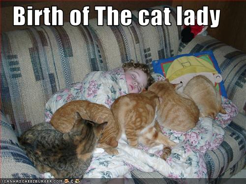 Bilder-Thread uh43048,1276596465,cat-lady-727446
