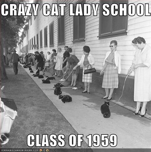 Bilder-Thread uh43048,1276596543,funny-pictures-crazy-cat-lady-school
