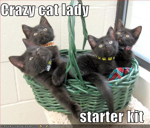 Bilder-Thread uh43048,1276596647,crazycatlady128608989773433663