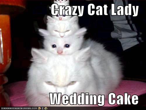 Bilder-Thread uh43048,1276596697,crazycatlady128573310310454936