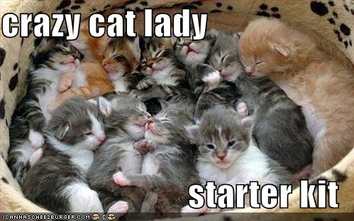 Bilder-Thread uh43048,1276596798,crazycatlady128619817640111294