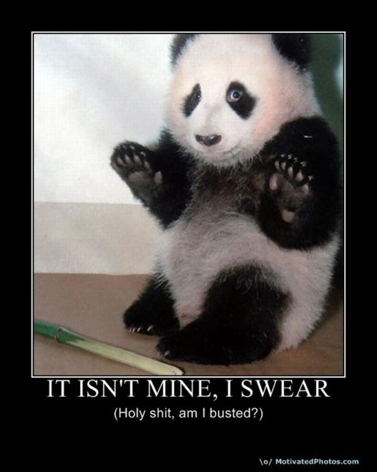 Bilder-Thread uh43048,1276789685,the best demotivational posters of may 71