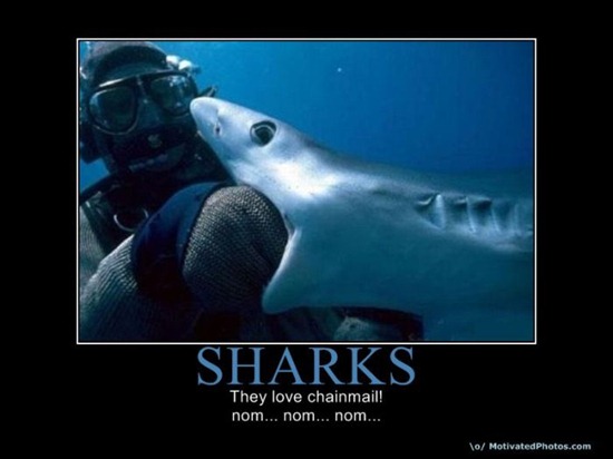 Bilder-Thread uh43048,1276789721,the best demotivational posters of may 67