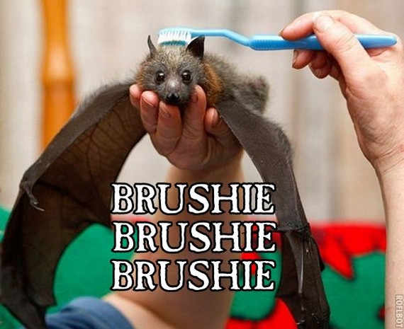 Bilder-Thread uh43048,1277275657,confused-animals-are-funny14