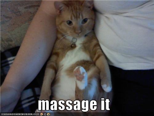 Bilder-Thread uh43048,1279000631,funny-pictures-cat-wants-foot-rub