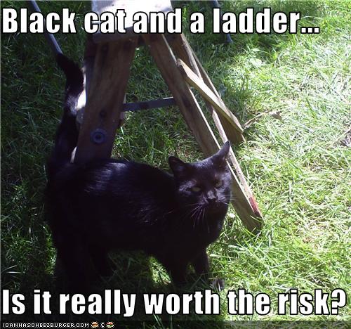 Bilder-Thread uh43048,1279000693,funny-pictures-cat-is-bad-luck