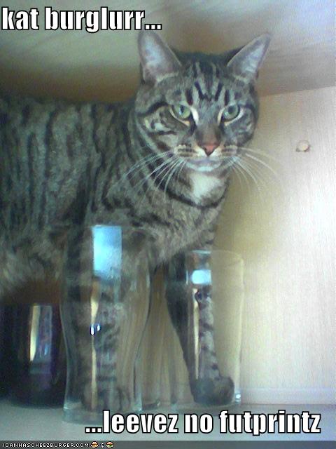 Bilder-Thread uh43048,1281611841,funny-pictures-cat-is-sneaky-burglar