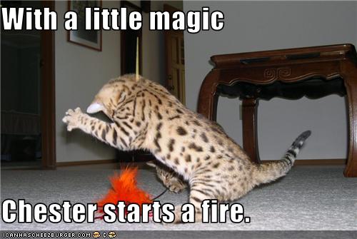 Bilder-Thread uh43048,1281612073,funny-pictures-cat-starts-fire