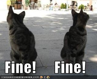 Bilder-Thread uh43048,1281612089,funny-pictures-cats-ignore-eachother