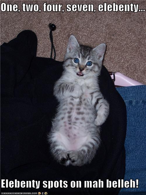 Bilder-Thread uh43048,1281612185,funny-pictures-kitten-counts-spots
