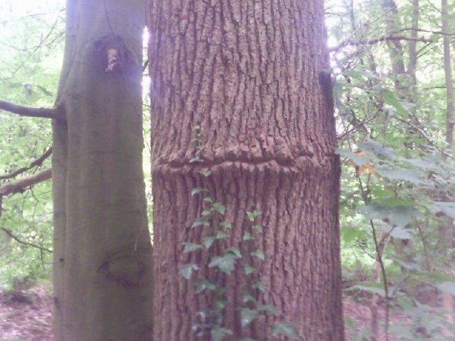 Bilder-Thread uh43048,1281949510,blucihc8h6qyjq6qj