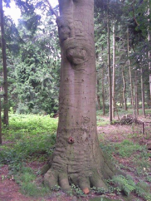 Bilder-Thread uh43048,1281949510,bluciscxe3pggxj8b