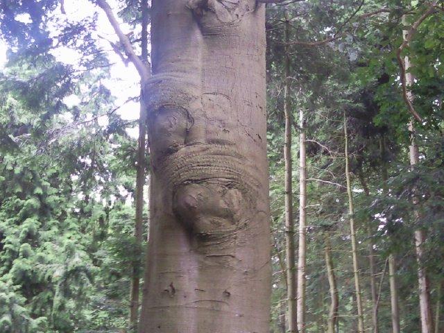 Bilder-Thread uh43048,1281949510,blucj3qs0p0giug7v