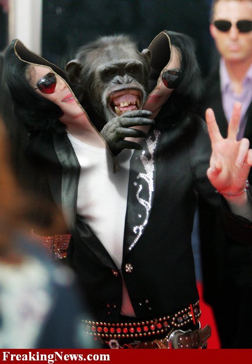 Bilder-Thread uh43048,1282995110,monkey-or-chimp-in-a-michael-jackson-suit1