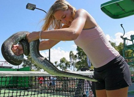 Bilder-Thread uh43048,1283196635,4883 2442 nicole-vaidisova-and-snake
