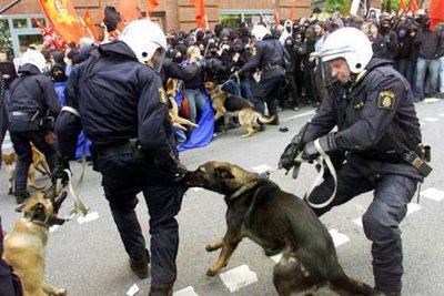 Bilder-Thread uh43048,1284242595,PoliceDogAttackPoliceman