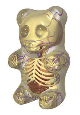 Bilder-Thread uh43048,1285519490,Gummi Bear Anatomy Spin by freeny