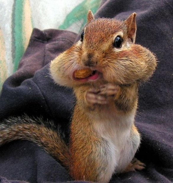 Bilder-Thread uh43048,1285603575,thumbs picdump-144-43