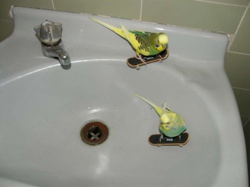 Bilder-Thread uh43048,1286646416,tumblr l6mf0cxGDx1qzlpdxo1 500