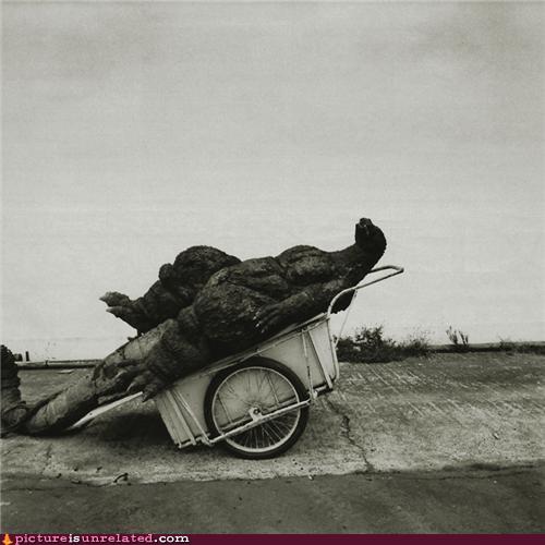 Bilder-Thread uh43048,1287322277,13c5a6a2-72ce-4c47-8740-7660591a94eb