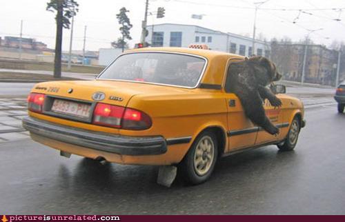 Bilder-Thread uh43048,1287322380,c0fb0b4c-1d30-4787-af0c-e3ef6bbee9f0