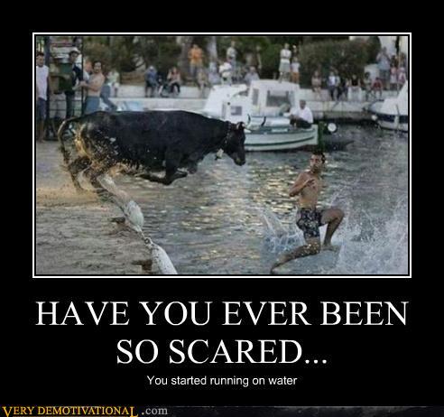 Bilder-Thread uh43048,1287322982,demotivational-posters-have-you-ever-been-so-scared1