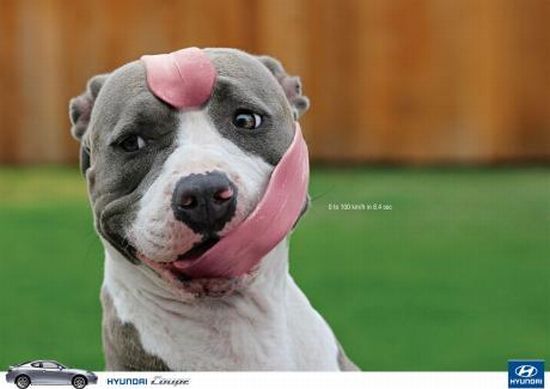 Bilder-Thread uh43048,1287438027,the-weirdest-creative-ads01