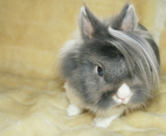 Bilder-Thread uh43048,1287492516,s640x480