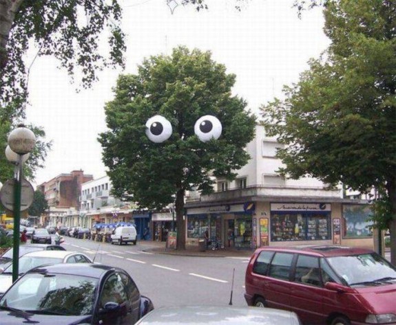Bilder-Thread uh43048,1287782564,KMDN-Daily-PicDump-No.33 69-575x473
