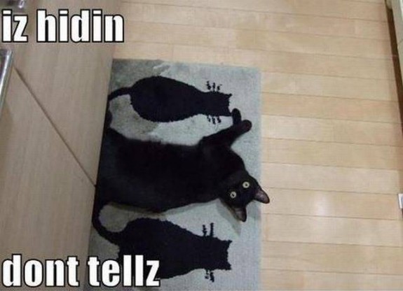 Bilder-Thread uh43048,1287782839,Funny-Pictures-Part-59 49-575x416