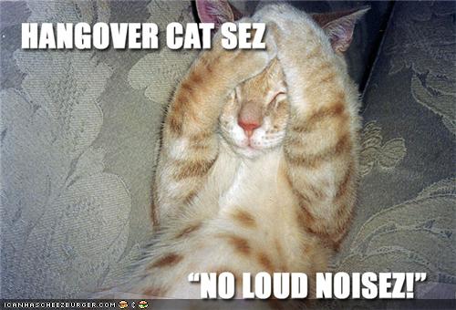 Bilder-Thread uh43048,1288106734,funny-pictures-cat-is-hungover1