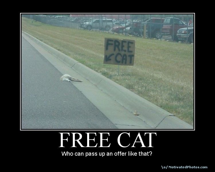 Bilder-Thread uh43048,1288107135,633795643171072010-freecatwhocanpassupanofferlikethat