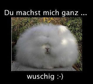 Bilder-Thread uh43048,1288186475,061