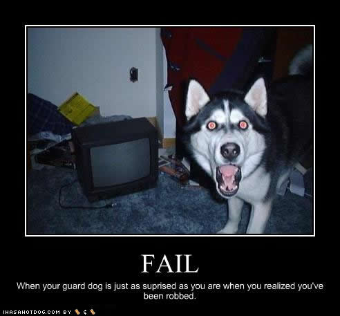 Bilder-Thread uh43048,1288562266,funny dog pictures surprised robbed Funny ass pics-s492x457-31397
